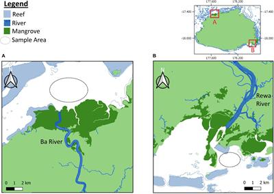 DNA Analysis of Juvenile Scalloped Hammerhead Sharks Sphyrna lewini (Griffith, 1834) Reveals Multiple Breeding Populations and Signs of Adaptive Divergence in the South Pacific